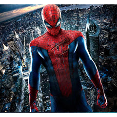 The Amazing Spider-Man Peter Parker Cosplay Costume