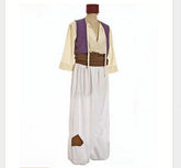 Halloween One Thousand and One Nights Aladdin Cosplay Costume for Anime Fans - Halloweez