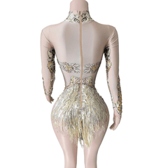 Singer Stage Costume Rhinestone Swimsuit One-Piece Triangle Panties Performance Outfit for Nightclub Stage Shows - Halloweez