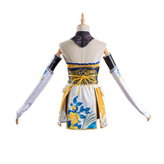 Halloweez Cosplay Costume for Women and Girls - Brochure Style - Halloweez