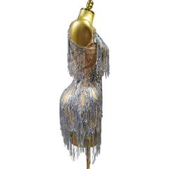 Fringe Dress Performance Costume Silver Dancewear Show Outfit Party Wear Sleeveless Halter Neck Performance Attire - Halloweez