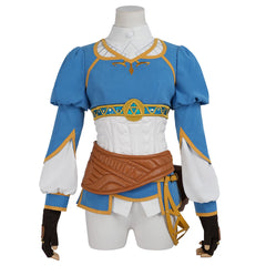 The Legend of Zelda Tears of the Kingdom Princess Zelda Cosplay Costume, Custom Made
