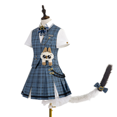 Stunning: Halloweez Gray Raven Cosplay Costume - Chic Cat-Themed Ensemble for Women - Halloweez