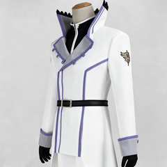 Re:Zero Reinhard van Astrea Cosplay Costume,Custom Made,Halloween&Comic Con