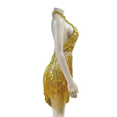 Rhinestone Mesh Hollow Sequin Fringe Dress - Silver Performance Costume for Party, Cosplay, Evening Gala - Halloweez