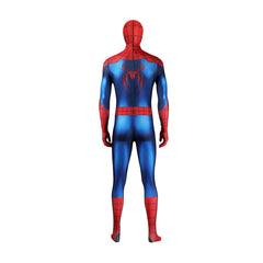 Spider-Man The Amazing Spider-Man 4 Cosplay Costume Custom For Halloween Comic Con
