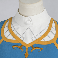 The Legend of Zelda Tears of the Kingdom Princess Zelda Cosplay Costume, Custom Made