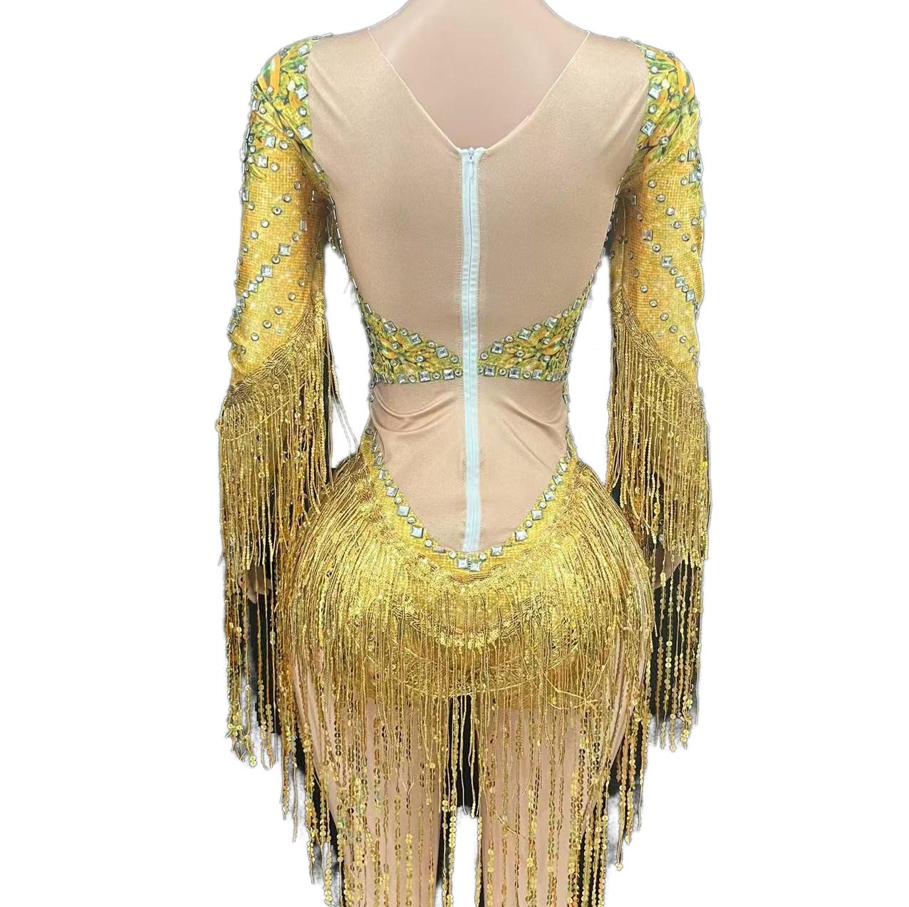 Sexy Sheer Mesh Stage Costume for Live Performance - Silver T-Show Fashion Outfit for Bar Singers, Band Performances & Livehouse Events - Halloweez