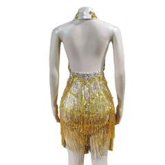 Rhinestone Mesh Hollow Sequin Fringe Dress - Silver Performance Costume for Party, Cosplay, Evening Gala - Halloweez