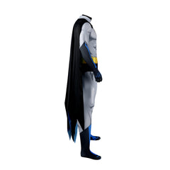 The Batman Complete Animated Series DVD Box Set Seasons 1-5