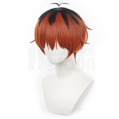 Halloweez Beyond Journey's End Anime Stark Cosplay Wig Synthetic Fiber Adjustable Size Perfect for Halloween Christmas - Halloweez