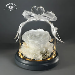 Halloweez Eternal Preserved Rose Glass Dome Heart-Shaped Bouquet - Luxury Valentine's Day Gift for Her