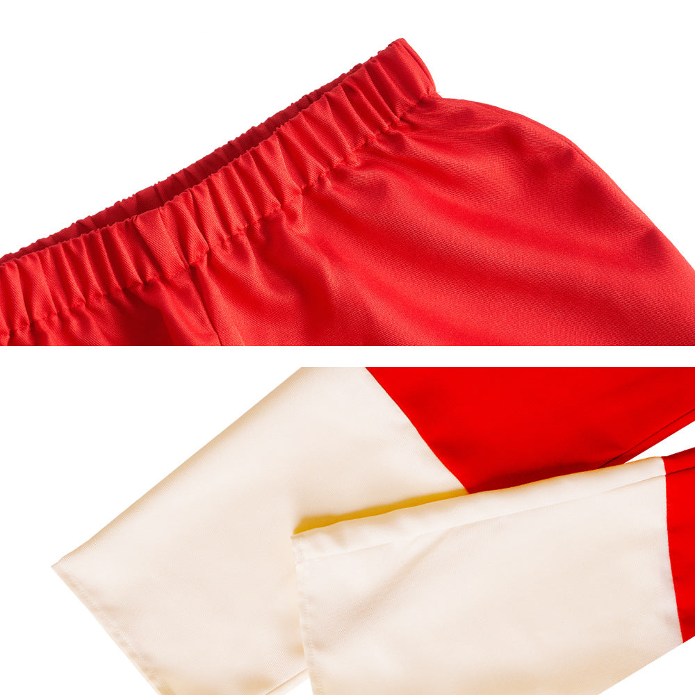 Super Dragon Ball Heroes Chi-Chi Cosplay Costume - Halloweez