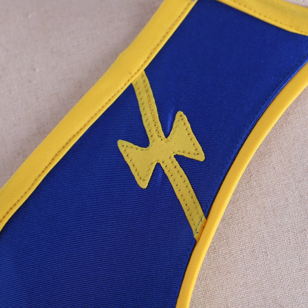 Chun - Li Cosplay Costume | Blue Sexy Fighting Outfit | Street Fighter Chun - Li Crop Top & Shorts Set - Coscosmos