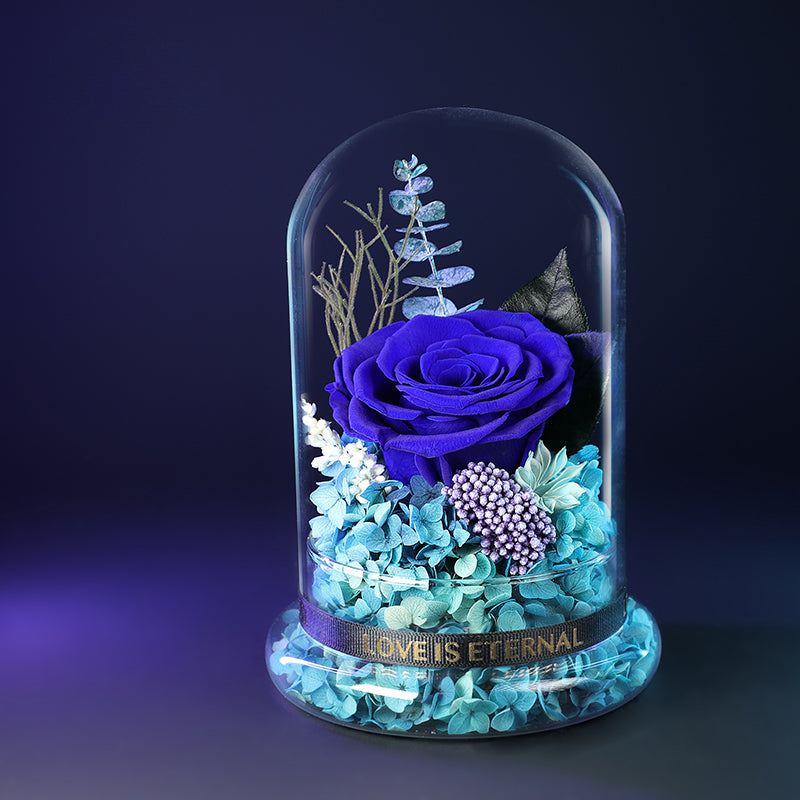 Dôme en verre avec roses préservées enchantées Eternal Love - Bouquet de roses bleues d'Halloween pour occasions spéciales