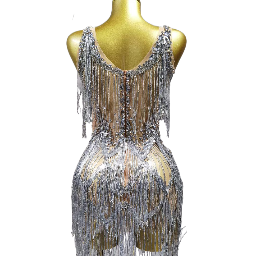 Fringe Dress Performance Costume Silver Dancewear Show Outfit Party Wear Sleeveless Halter Neck Performance Attire - Halloweez