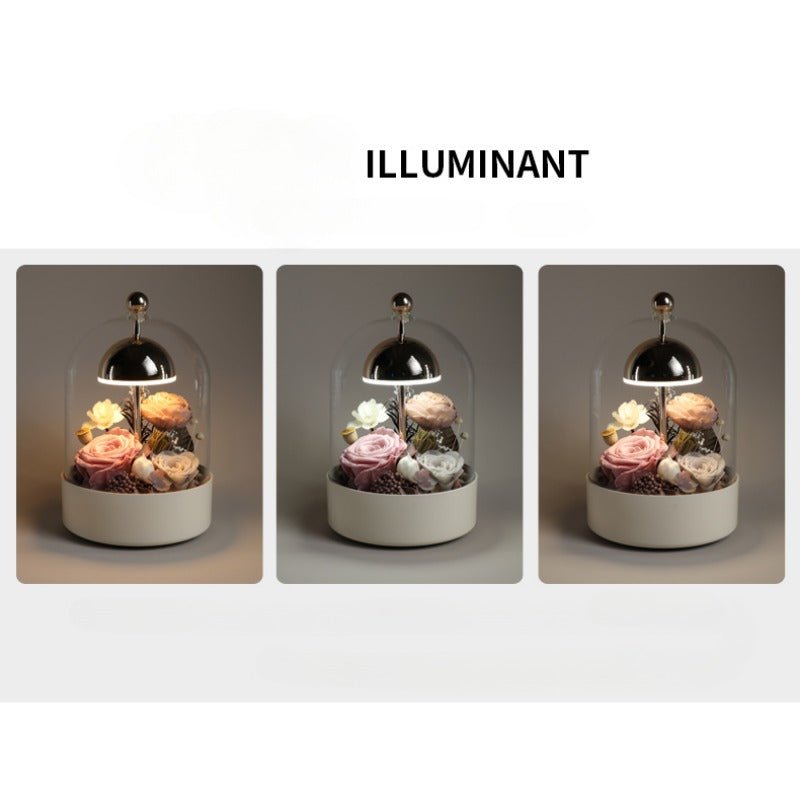 Elegant Eternal Flower Night Light - A Unique Home Decor and Gift for Her - Coscosmos